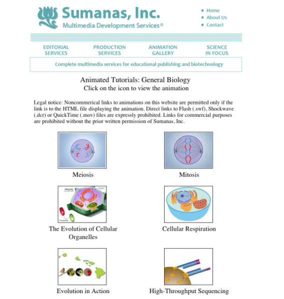 Applied Math and Science Education Repository - Animated Tutorials: General  Biology