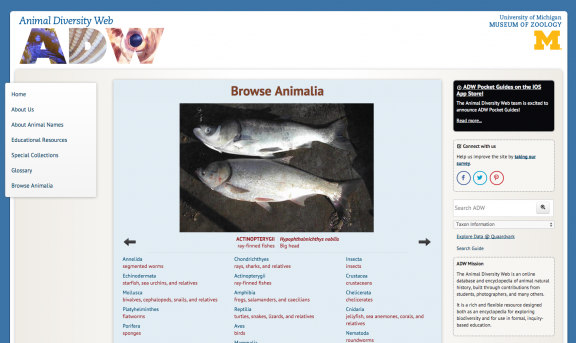 Applied Math and Science Education Repository - Animal Diversity Web