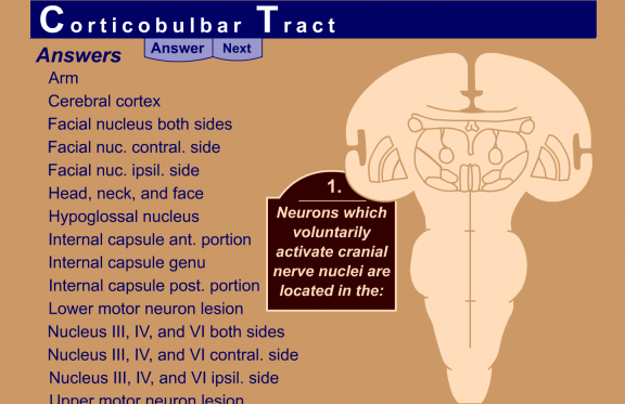 Applied Math and Science Education Repository - HyperBrain: Pathway